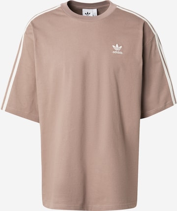 ADIDAS ORIGINALS Shirt 'Adicolor' in Brown: front