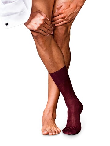 FALKE No. 10 in Rot: Vorderseite