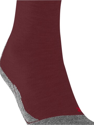 FALKE Athletic Socks 'SK2 Intermediate' in Red