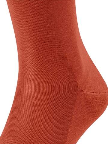FALKE Knee High Socks 'Tiago' in Red