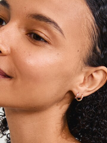 Pilgrim Earrings ' Kleopratra ' in Gold