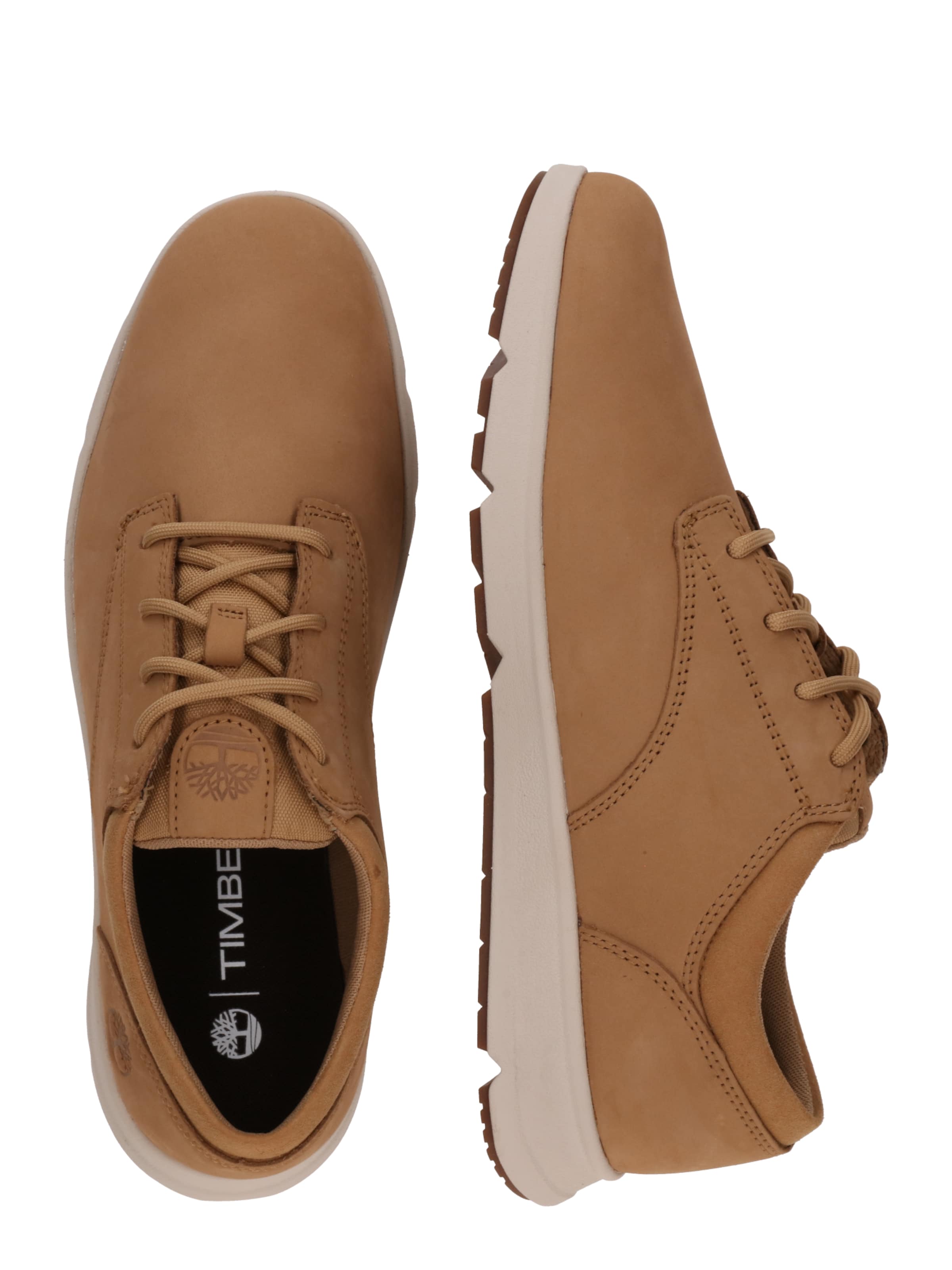 TIMBERLAND Низкие кроссовки в Бежевый