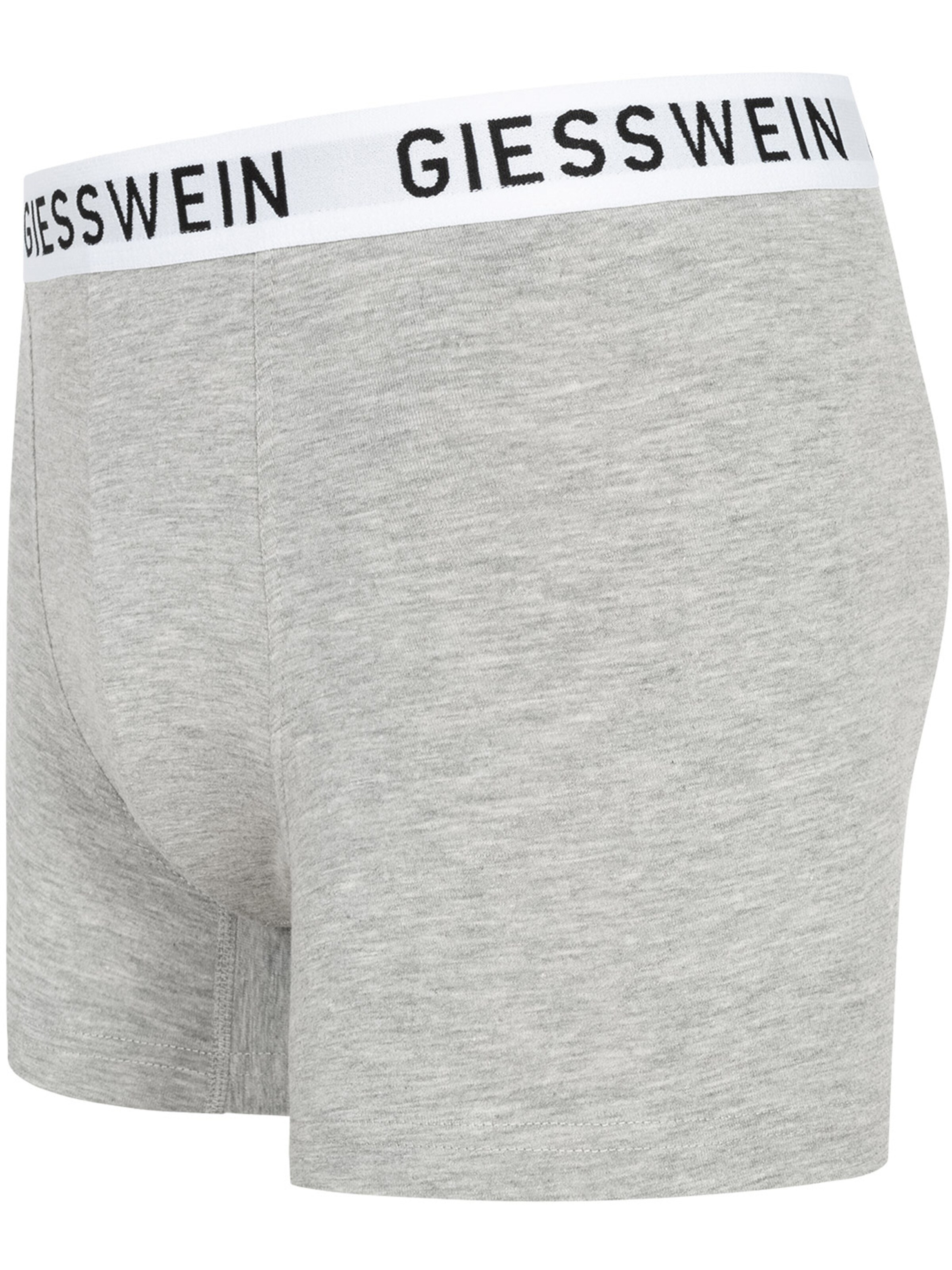 GIESSWEIN Boxer shorts in Grey