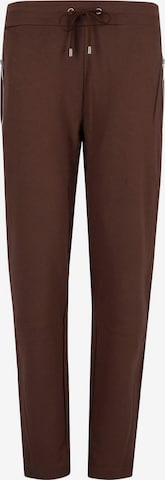 HAJO Pants in Brown: front