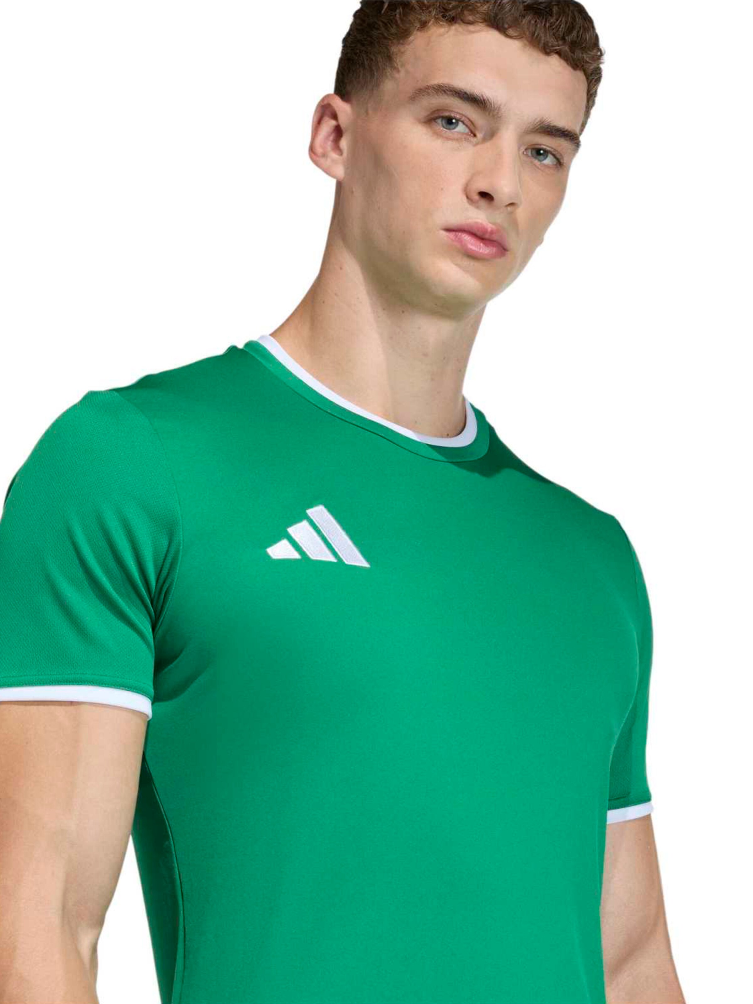 ADIDAS PERFORMANCE Performance shirt 'ENT26' in Green