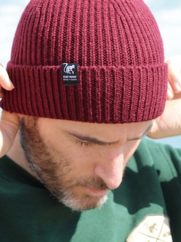 Surf Monkey Beanie in Red