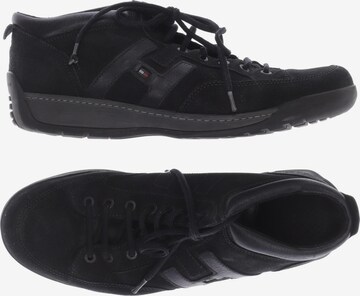 TOMMY HILFIGER Sneakers & Trainers in 44 in Black: front