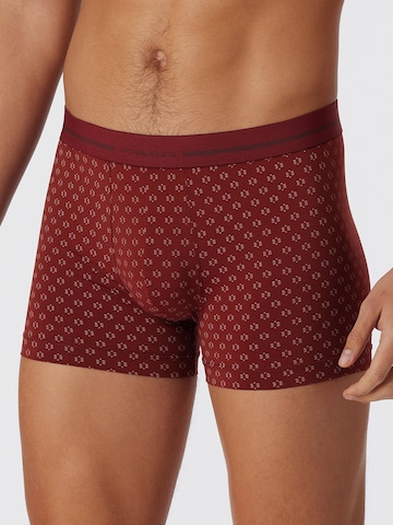 SCHIESSER Boxer shorts ' Pure Micro ' in Bronze: front