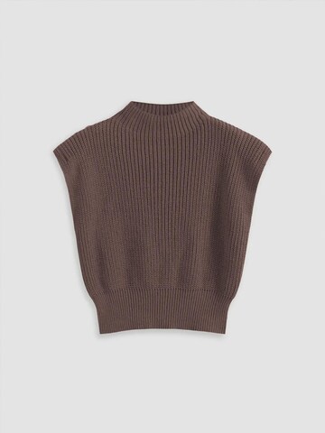 Pullover di Hiccup in marrone