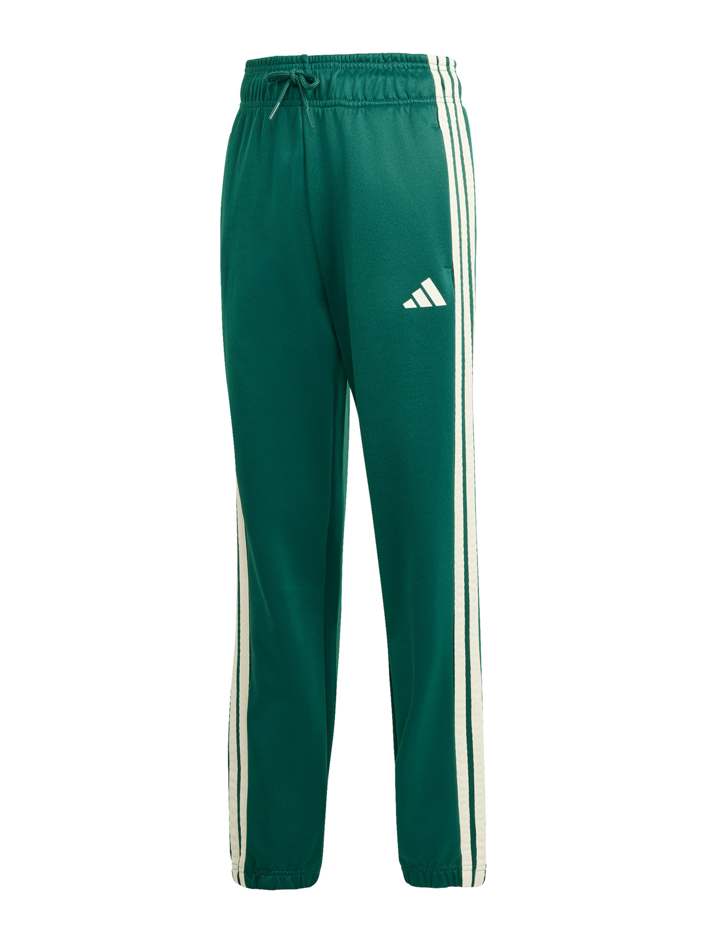 zaļš ADIDAS SPORTSWEAR Standarta Sporta bikses 'STD': no priekšpuses