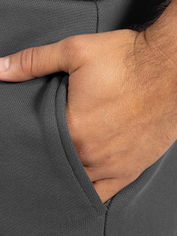 Regular Pantalon de sport ' Chaise ' Smilodox en gris