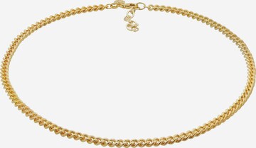 ELLI PREMIUM Halskette Basic Kette, Choker in Gold: predná strana