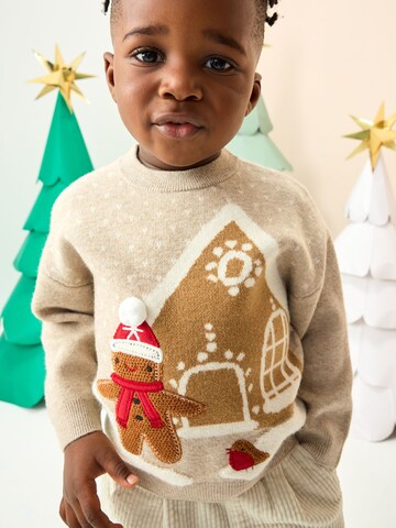 Pullover di Next in marrone: frontale