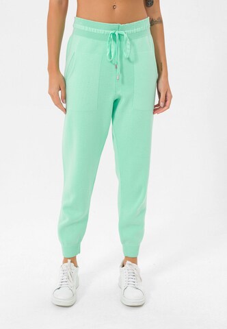 Jimmy Sanders Tapered Sports trousers in Green: front