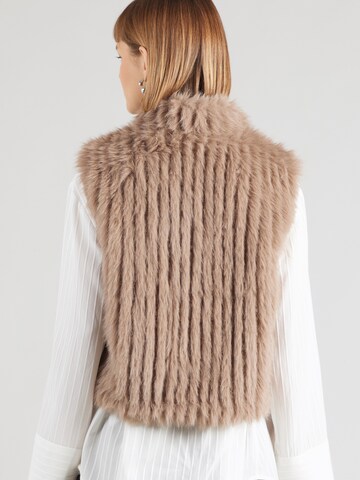 RINO & PELLE Bodywarmer 'Dava' in Bruin