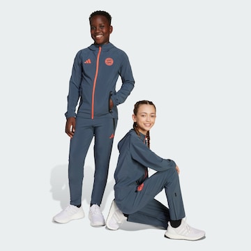 Regular Pantalon de sport 'FC Bayern München Tiro 25 Competition' ADIDAS PERFORMANCE en gris : devant