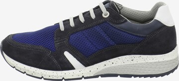 SALAMANDER Sneakers laag in Blauw