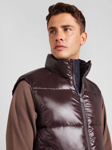 Gilet 'AILANTUS' SAVE THE DUCK en marron