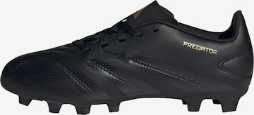 ADIDAS PERFORMANCE Sportschuh 'Predator Club' in Schwarz: Vorderseite