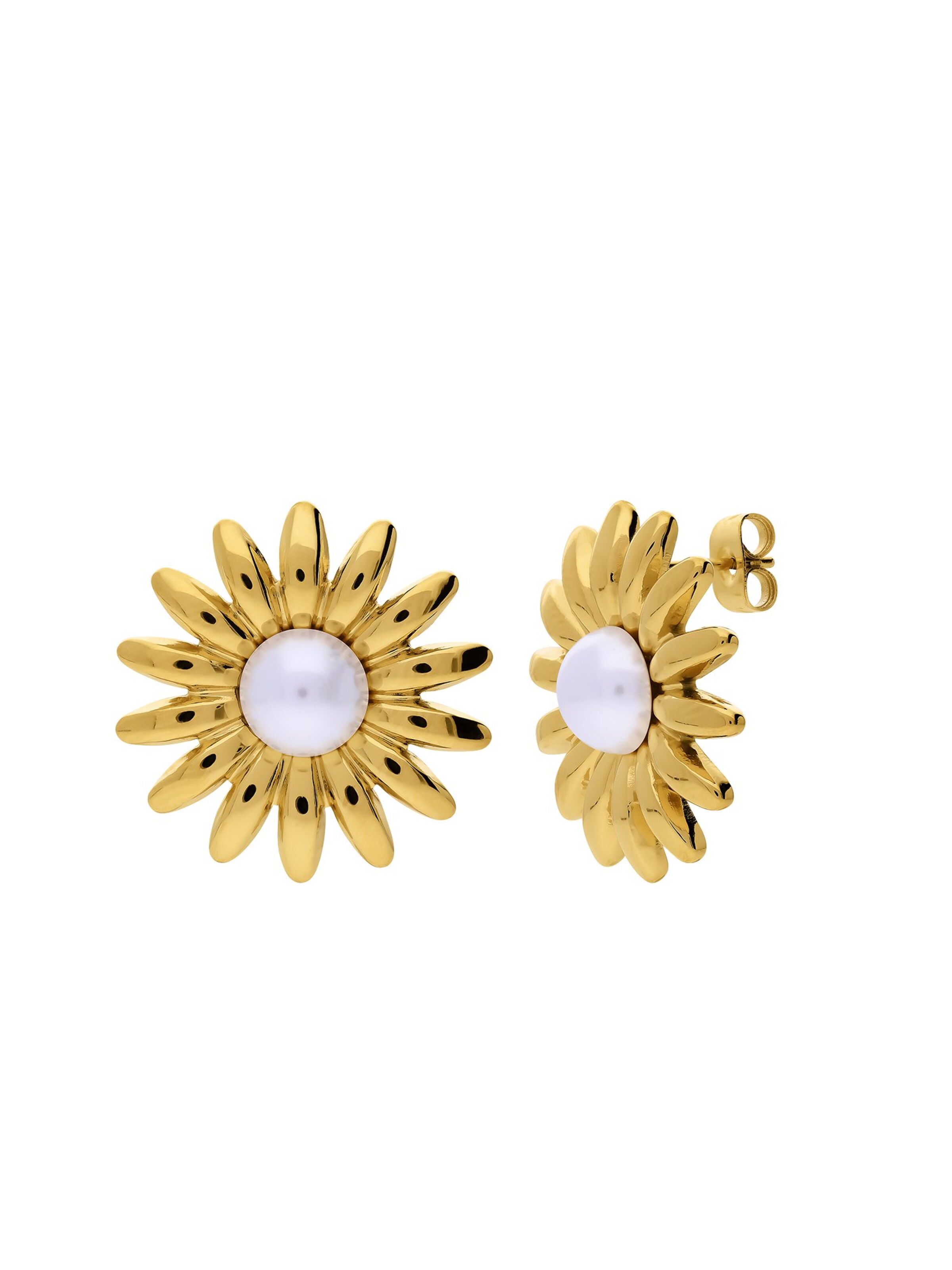 Lucardi Earrings in Gold: front