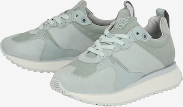 Apple of Eden Sneakers 'LOUISA' in Grey