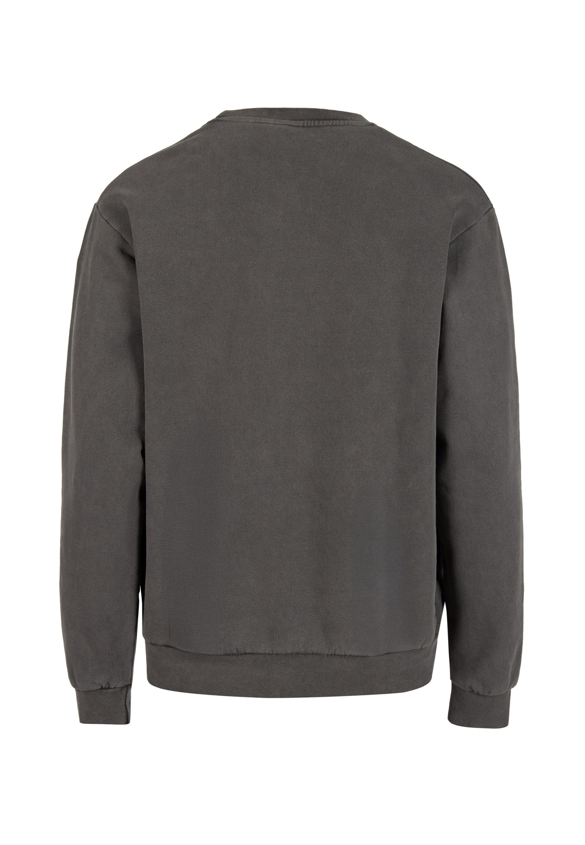 Iriedaily Sweatshirt in Zwart