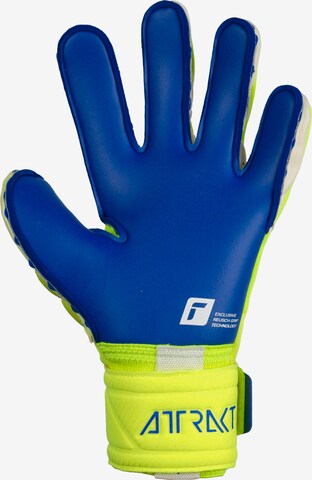 REUSCH Athletic Gloves 'Attrakt Duo' in Yellow