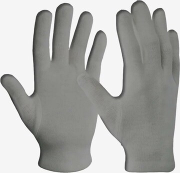 Zanier Full Finger Gloves in Grey: front