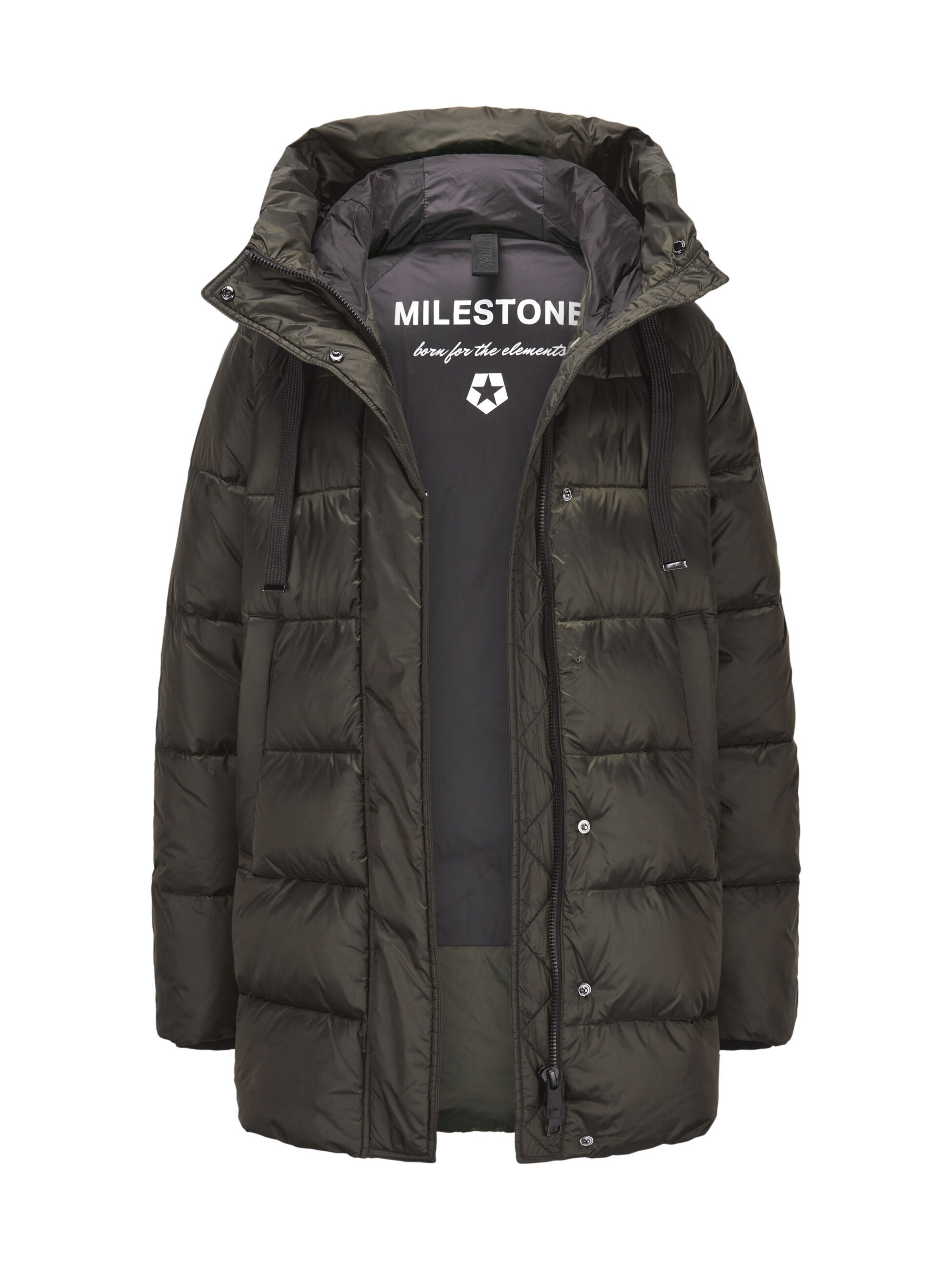 MILESTONE Winterjas 'MSUmeko' in Groen