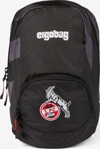 ergobag Backpack in Mixed colors: front