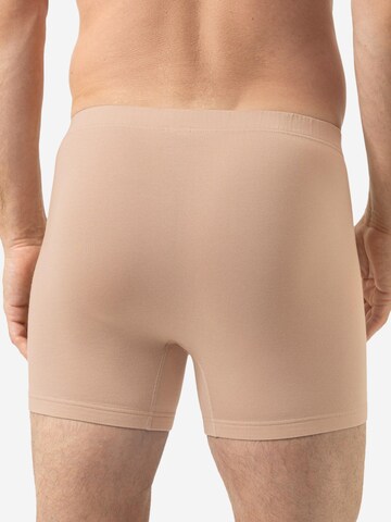Mey Boxer shorts 'Softball' in Mixed colors