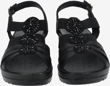 IMAC Strap Sandals in Black