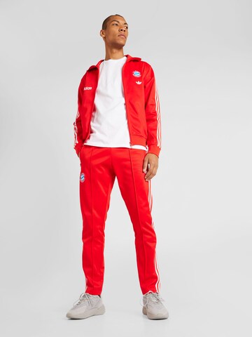 FC BAYERN MÜNCHEN Regular Workout Pants in Red