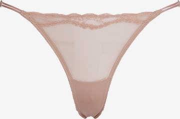 Calvin Klein Slip in Brown: front