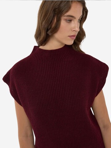 Pullover di Hiccup in rosso
