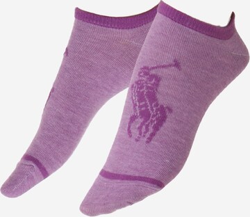 Polo Ralph Lauren Socks in Mixed colors: front