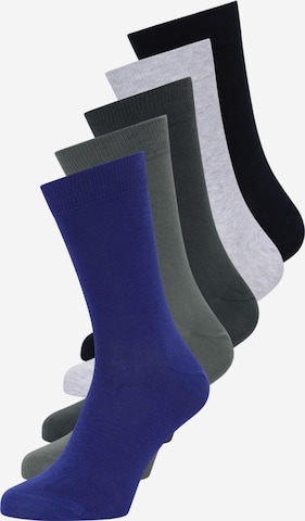 BJÖRN BORG Sukat 'ESSENTIAL' värissä sininen: etupuoli