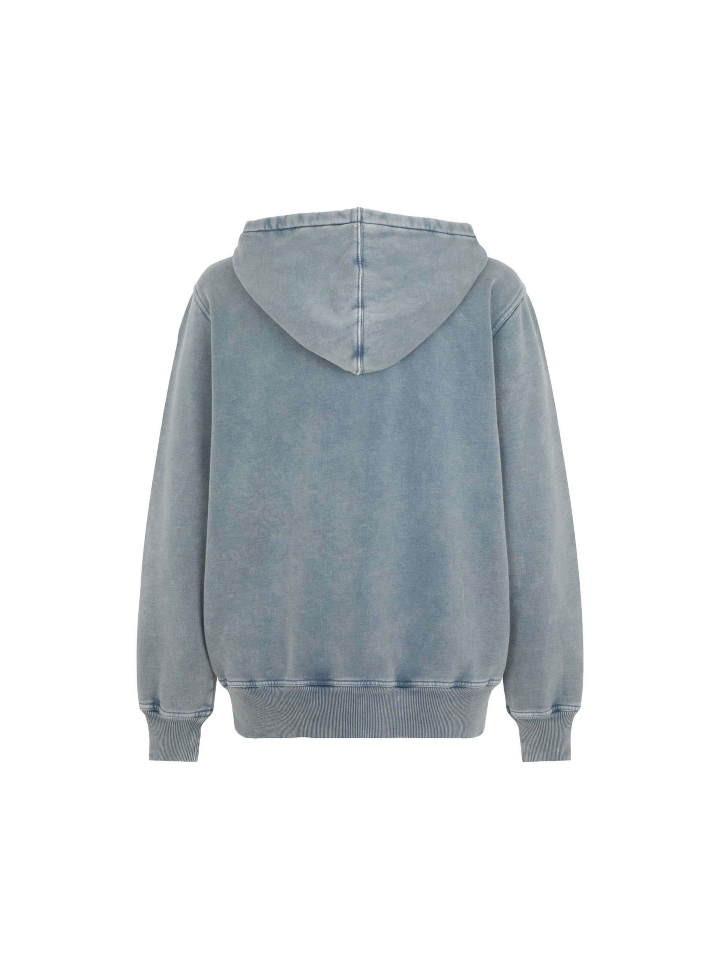 Felpa 'Plentywood' di DICKIES in blu