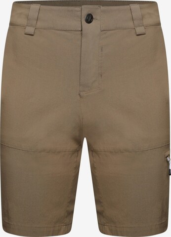 DARE2B Regular Outdoor Pants 'Tuned In ' in Brown: front