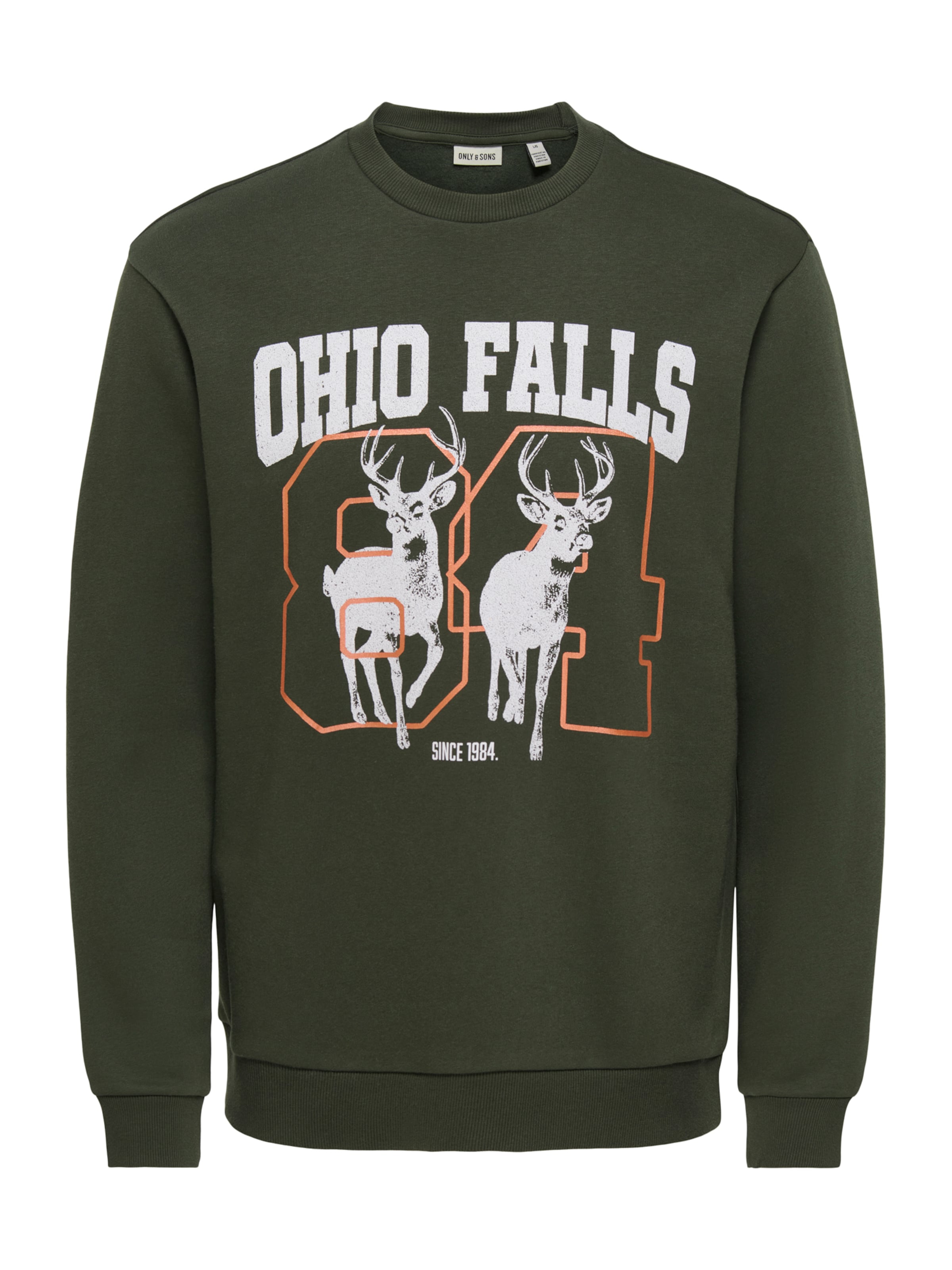 Only & Sons Sweatshirt 'ONSCeres Montana' in Green: front