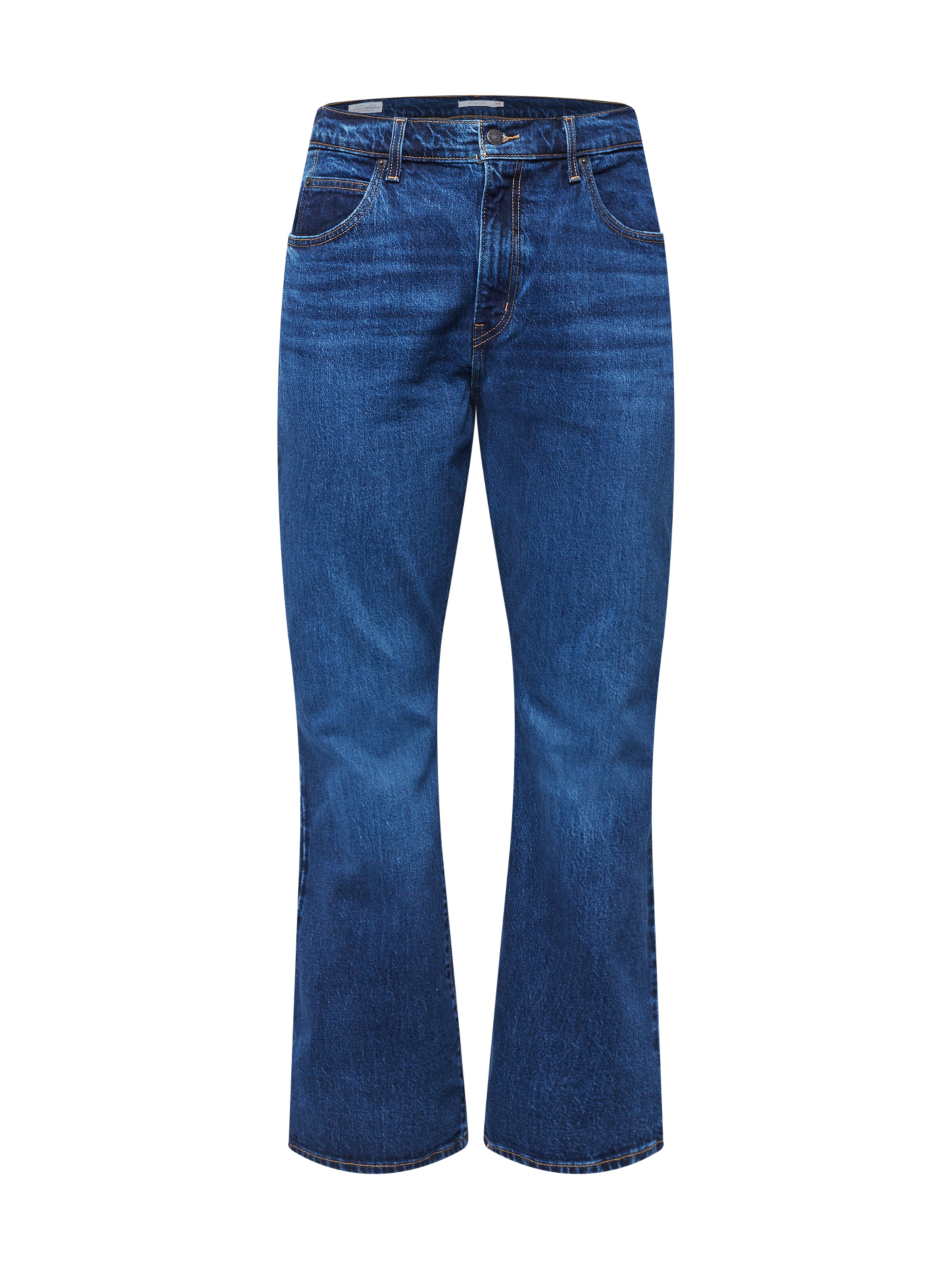 Levis® Plus Jeans in Blu 