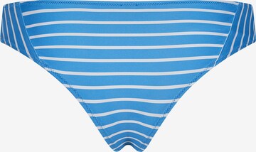 Skiny Bikinibroek in Blauw