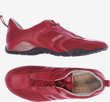 GEOX Sneaker 39 in Rot: predná strana