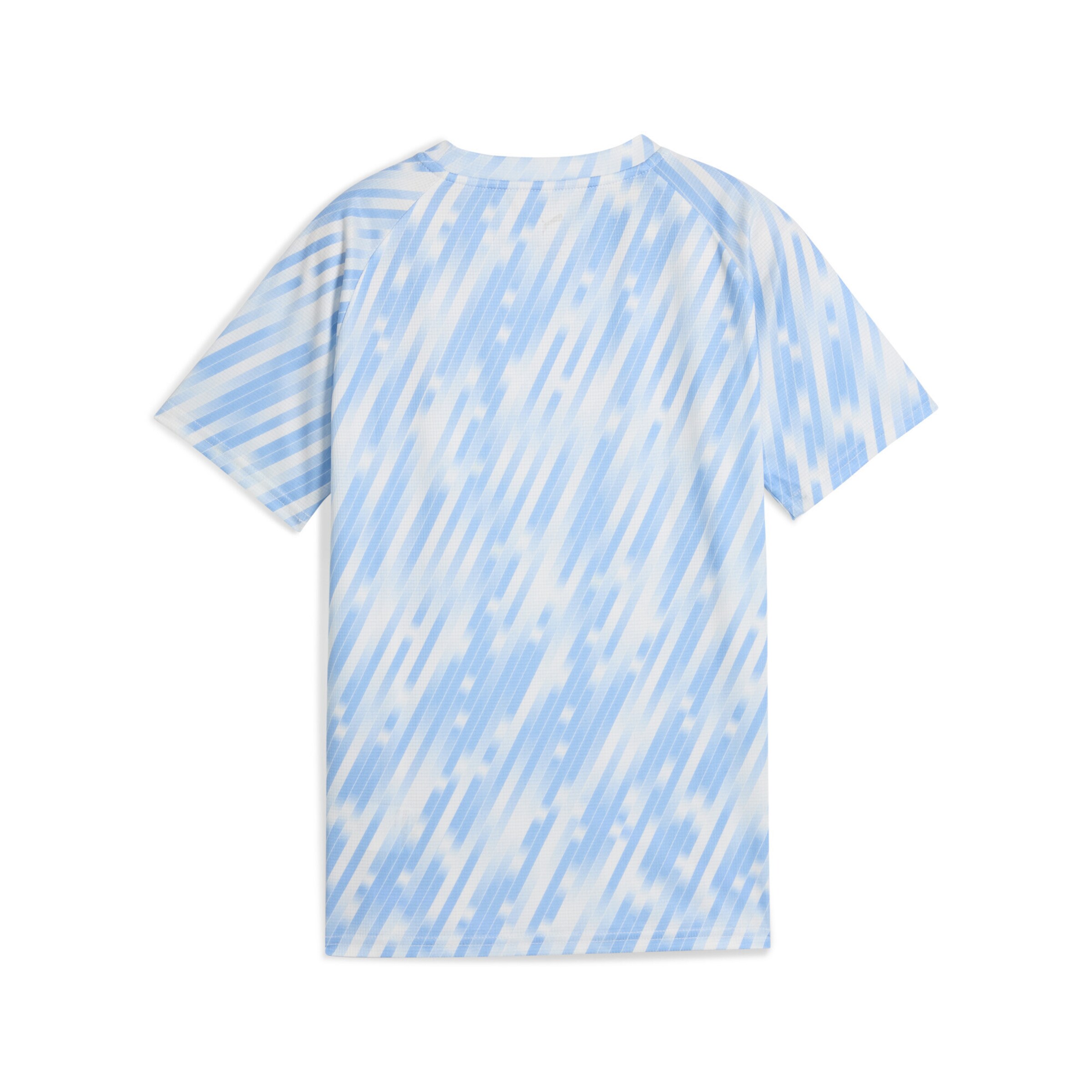 PUMA Functioneel shirt 'Manchester City' in Blauw