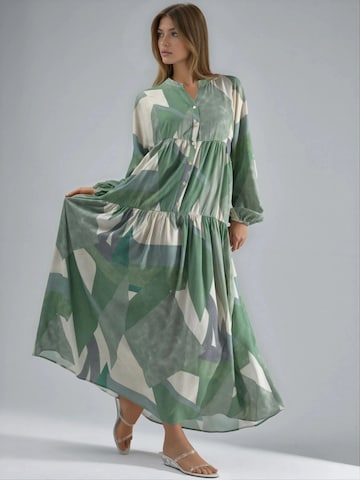 Hiccup Kleid in Grün: Vorderseite