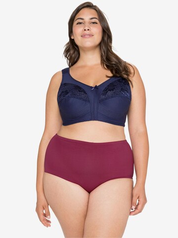 SHEEGO Minimizer BH in Blau