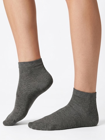 footstar Socks 'EVERYDAY!' in Grey