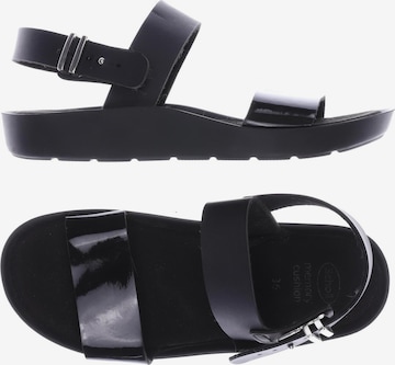 SCHOLL Sandals & High-Heeled Sandals in 36 in Black: front