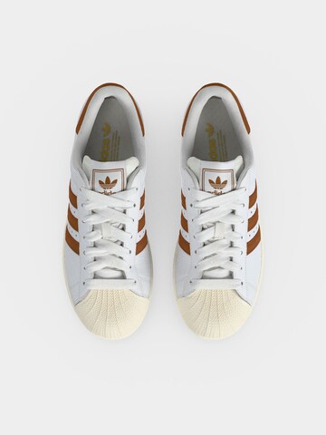 ADIDAS ORIGINALS Nízke tenisky 'SUPERSTAR II' - Biela