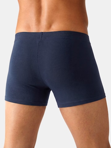 JOHN DEVIN Boxer shorts in Blue